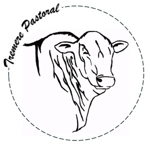Tremere Logo